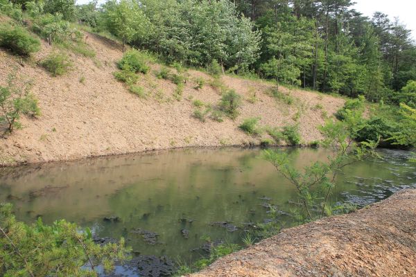 Cost of Pond Erosion Repair in Elk River